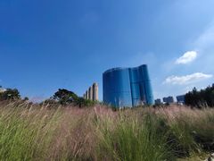 -艾溪湖湿地公园