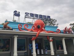 -北海海底世界