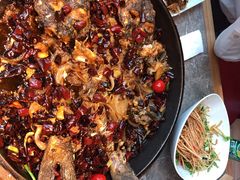 -老板恋上鱼(恒隆广场店)