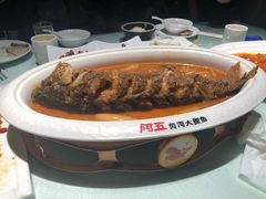 -阿五黄河大鲤鱼(纬三路店)