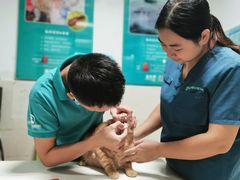 -东莞宠友24H宠物中心医院·转诊夜诊·异宠(新河北路院)