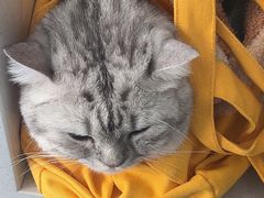 -博特宠物医院24h犬猫全科.骨科·异宠