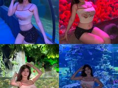 -左海海底世界