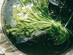 -海韵人家.海景花园经典云南菜(双廊店)