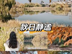 -长广溪湿地公园