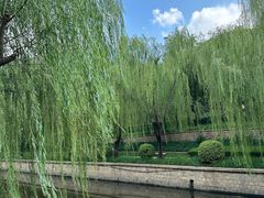 -元大都城垣遗址公园