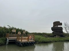-大湾区中央湿地公园