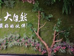 -大自然花鸟鱼虫市场