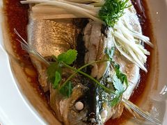 钱湖四宝-朋鱼-宁波柏悦酒店·钱湖渔港