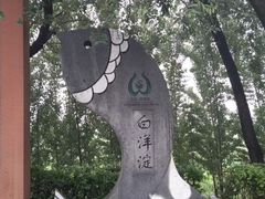 -白洋淀景区