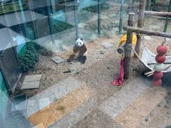 -大连森林动物园