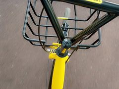 -艾溪湖湿地公园