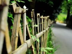 -法云古村