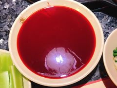 -蜀大侠火锅(森兰花园城店)