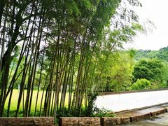 -石燕湖生态旅游景区