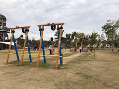 -上海长兴岛郊野公园