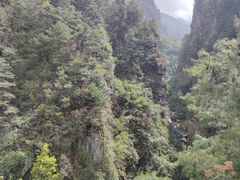 -苍山感通索道