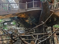 -南宫五洲植物乐园