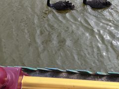-珠海圆明新园