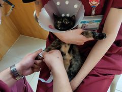 -美联众合动物医院·24h京西诊疗中心