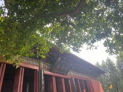 -洛阳白马寺