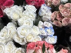 -循礼门鲜花花市(武汉循礼门店)