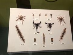 -天津自然博物馆