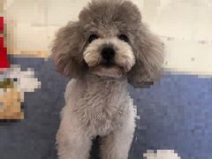 -创凡宠物医院·骨专科  猫科中心(西乡分院)