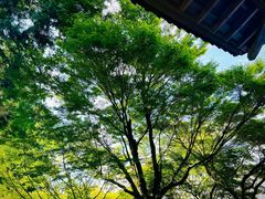 -三千院
