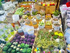 -循礼门鲜花花市(武汉循礼门店)