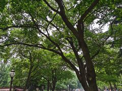 -八大关景区