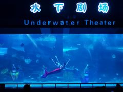 -泉城欧乐堡海洋极地世界