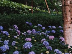 -常州古运河南大街文化旅游区-人民公园