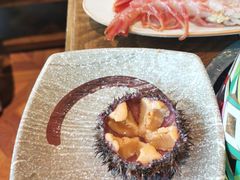 海胆-阳光岛·海鲜盛宴(银泰中心in99店)