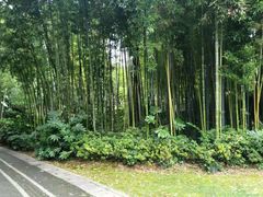 -苏州河梦清园环保主题公园