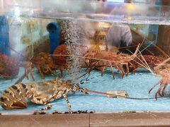 -阿伟海鲜楼·福建菜(延寿店)