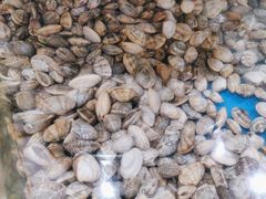 -鑫渔港海鲜本地菜·山海关浑锅(东戴河店)