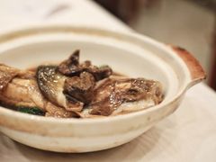 红烧河鱼秧草-鸿运酒楼