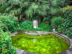 -杭州第一世界大酒店·云曼温泉