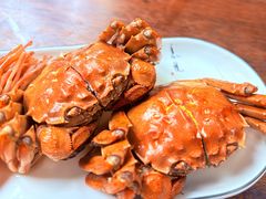 -蟹村草堂·苏式园林人文农家·大闸蟹