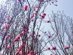 -贵阳市花溪国家城市湿地公园