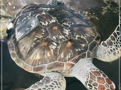 -鸿通城购物中心