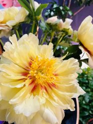 -花隐·美芙炫海菲秀皮肤管理中心