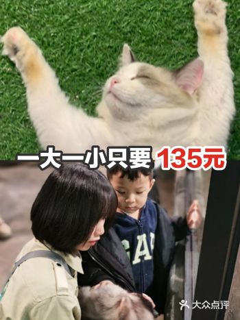 一大一小，这也太便宜了吧？