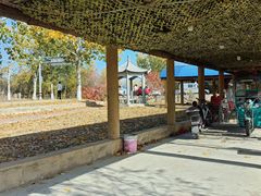 -北京龙庆四季香农家饭庄·灶台鱼·碳烤虹鳟鱼(龙庆峡店)