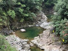 -安吉龙王山风景区