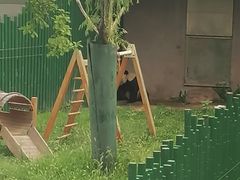 -沈阳森林动物园