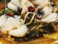 -蜀腾川·火锅鱼.烤鱼(新世界城店)