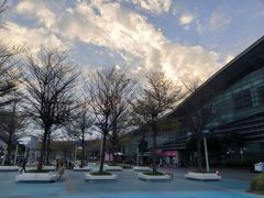 -宝安区体育中心体育馆