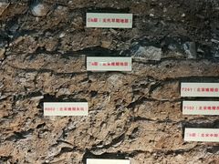 -南越王博物院(王宫展区)